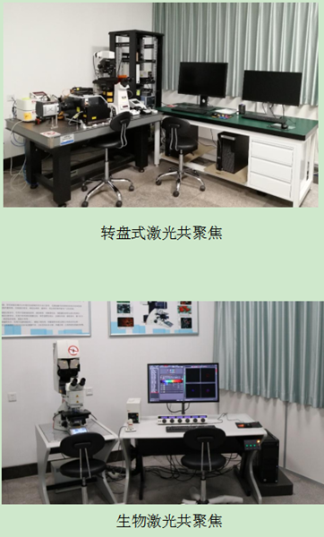 a860e20ca4354179babba865528239ba.png image.png